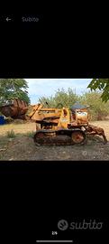 pala cingolata