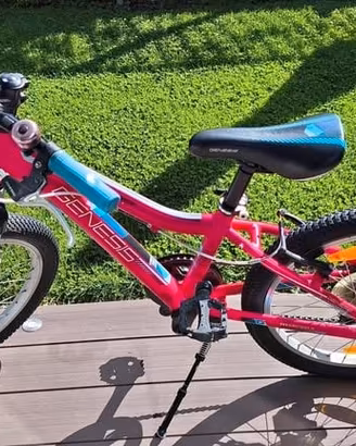 Bicicletta 20 pollici come nuova
