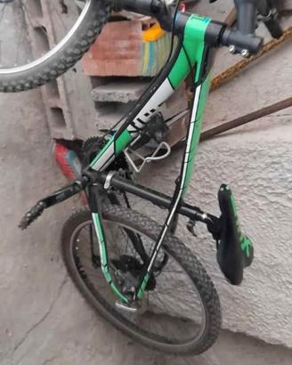Bici 24, Klass