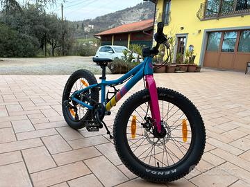 MTB Bergamont 20”