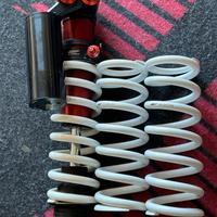 Mono ammortizzatore wp trax