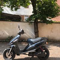 Malaguti F12 (nuovo)