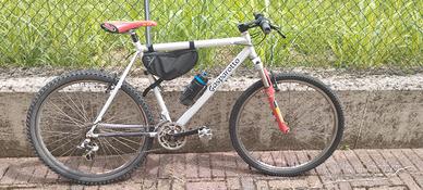 bici da uomo 