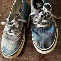 Vans usate