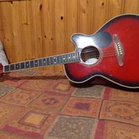 Custom Guitar 