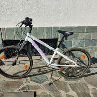 MTB Bianchi Duel