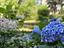 Immagine 30