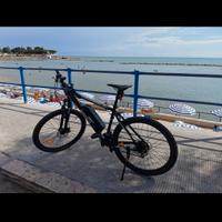 MTB nilox x6 
