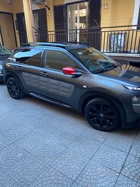 C4 Cactus