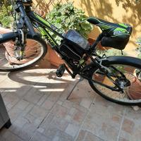 Mountain bike