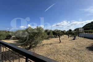 Terreno Agricolo Messina [Cod. rif 3331496VRG]