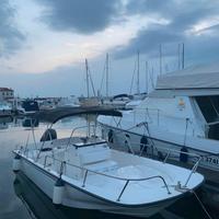 BOSTON WHALER gamma 210 MONTAUK- 2013