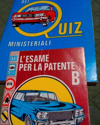 Le 100 schede dei quiz ministeriali + l'esame b