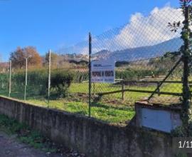 Terreno soleggiato e recintato