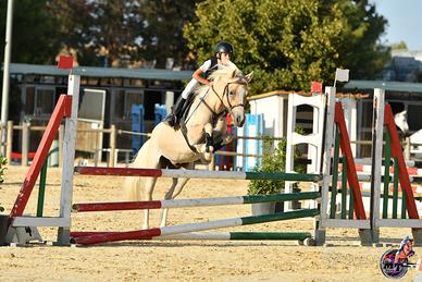 Pony salto ostacoli