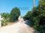 Immagine 10