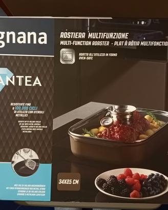 Rostiera Multifunzione Tognana 