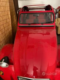 Citroen 2cv special