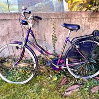 Bicicletta Holland donna