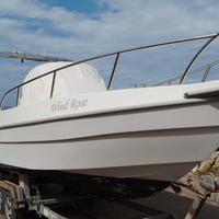 Barca Dolphin 25 walkaround