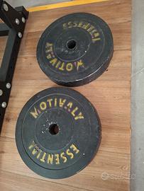 Dischi palestra 25kg