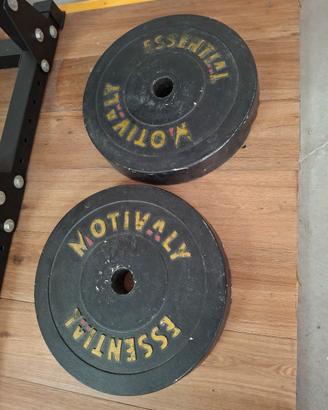 Dischi palestra 25kg