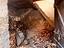 Immagine 19