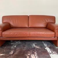 Divani in pelle vera