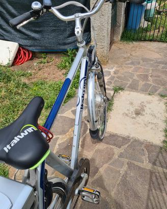 Bicicletta elettrica Italwin Eagle Elite
