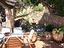 Immagine 21