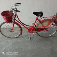 Bicicletta donna/ragazza