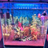 Acquario artigianale