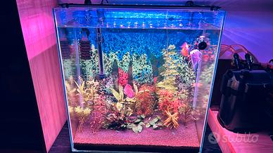 Acquario artigianale