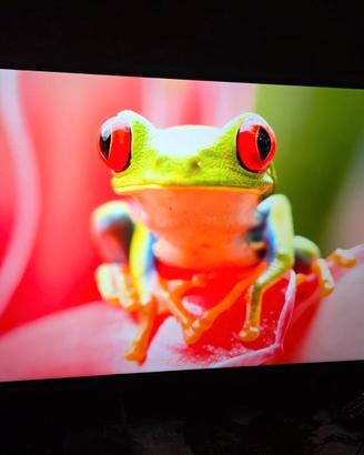 Smart Tech 43" 4K LED – Modello 43QH02V garanzia