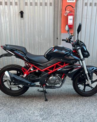 BENELLI BN 125