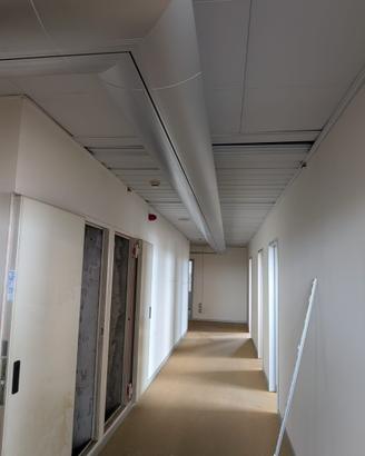 Lampade ufficio, porte rovere