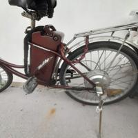 Bici elettrica 250 watt