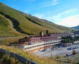 Monte TERMINILLO panoramico agosto