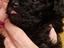 Immagine 6