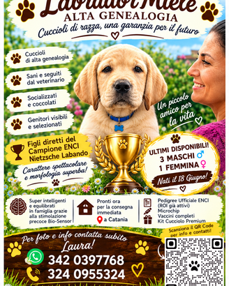 Labrador Miele Pedigree ENCI Alta Genealogia