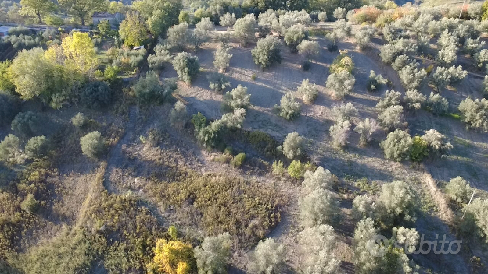 Terreno agricolo edificabile - Vista 4