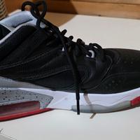 Jordan point lane nere e cemento n 44.5