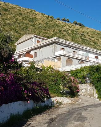 Casa vacanze vicino al mare Acciaroli (SA) mensile