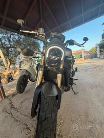 Benelli Leoncino 800 stradale