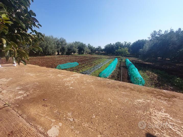 LOTTO DI 1800 MQ ZONA ARENELLA - Vista 3