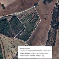 Terreno agricolo a Sant'Andrea Frius (ex vigneto)