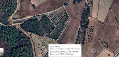 Terreno agricolo a Sant'Andrea Frius (ex vigneto)