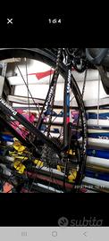 Bici da corsa