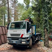 Autocarro iveco stralis con pinza e ribaltabile