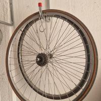 cerchio da bici 26 